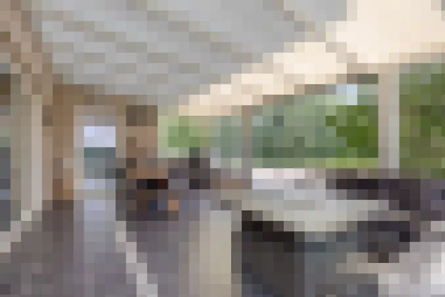 Leutherhoekweg 3630 Maasmechelen Stein thumbnail 46