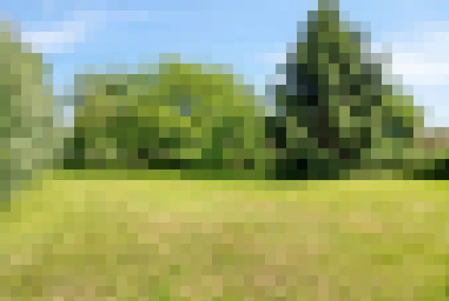 Leutherhoekweg 3630 Maasmechelen Stein thumbnail 50