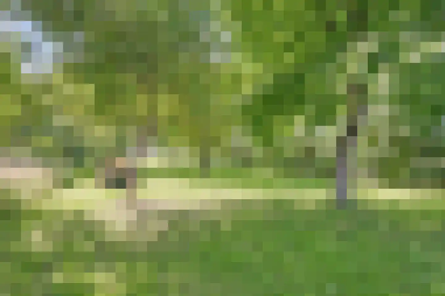 Leutherhoekweg 3630 Maasmechelen Stein thumbnail 51