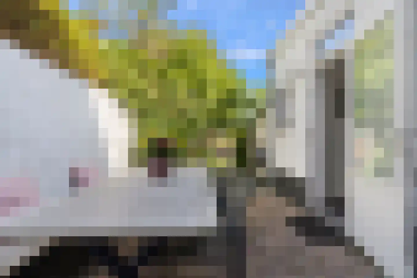 Leutherweg 11 Venlo thumbnail 47