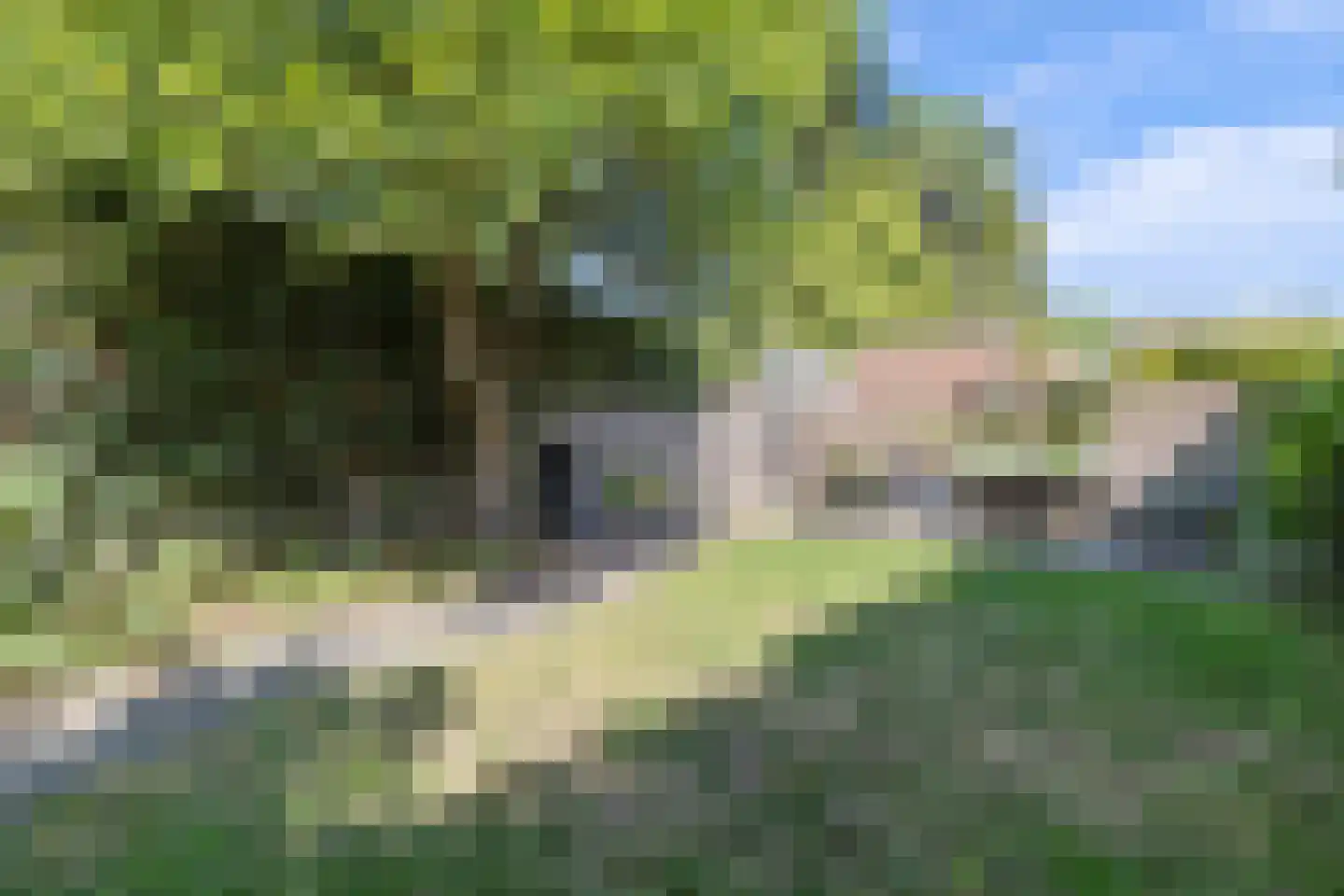 Leutherweg 11 Venlo thumbnail 48
