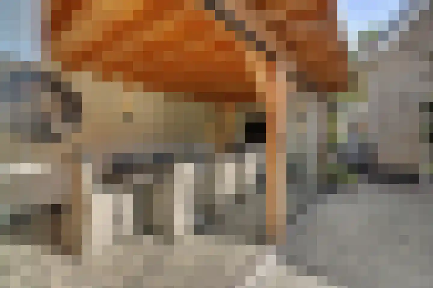 Leutherweg 176 Venlo thumbnail 36