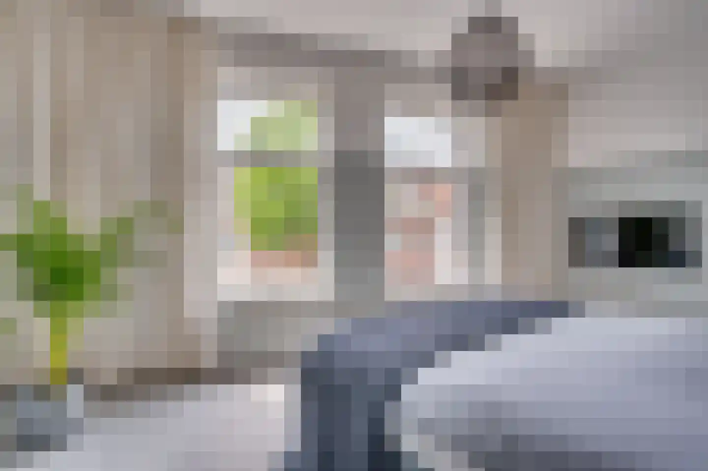 Leutherweg 21 Venlo thumbnail 21