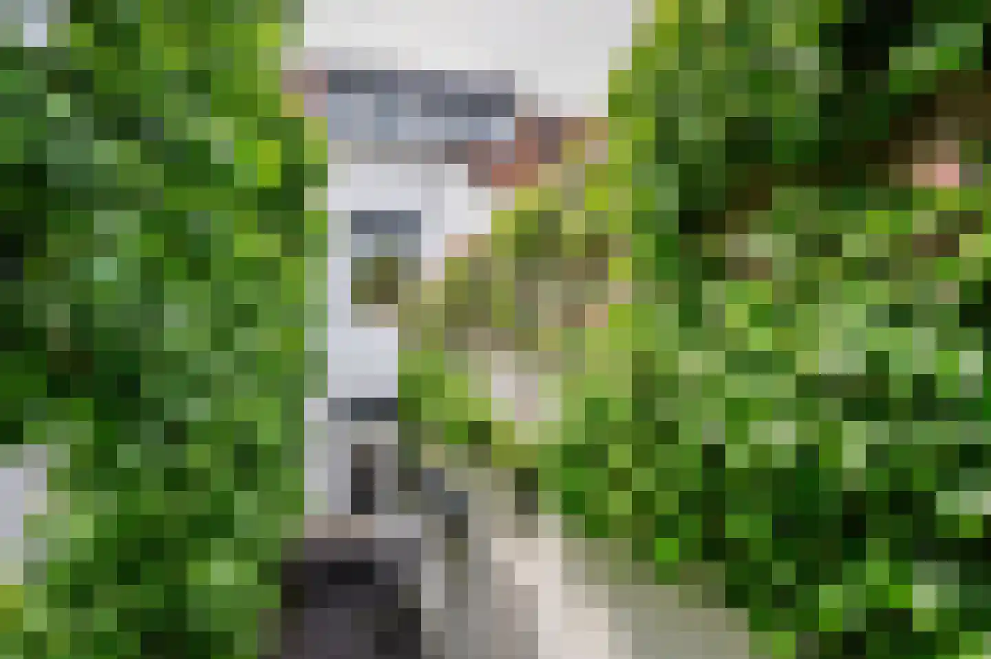 Leutherweg 21 Venlo thumbnail 40