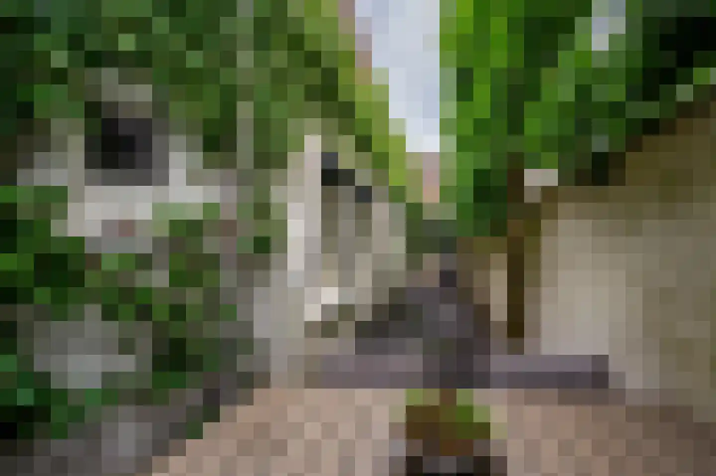 Leutherweg 21 Venlo thumbnail 42