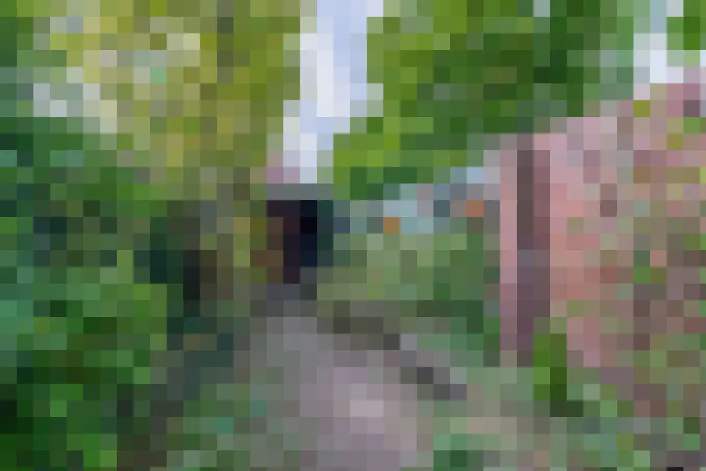 Leutherweg 22 Venlo thumbnail 5