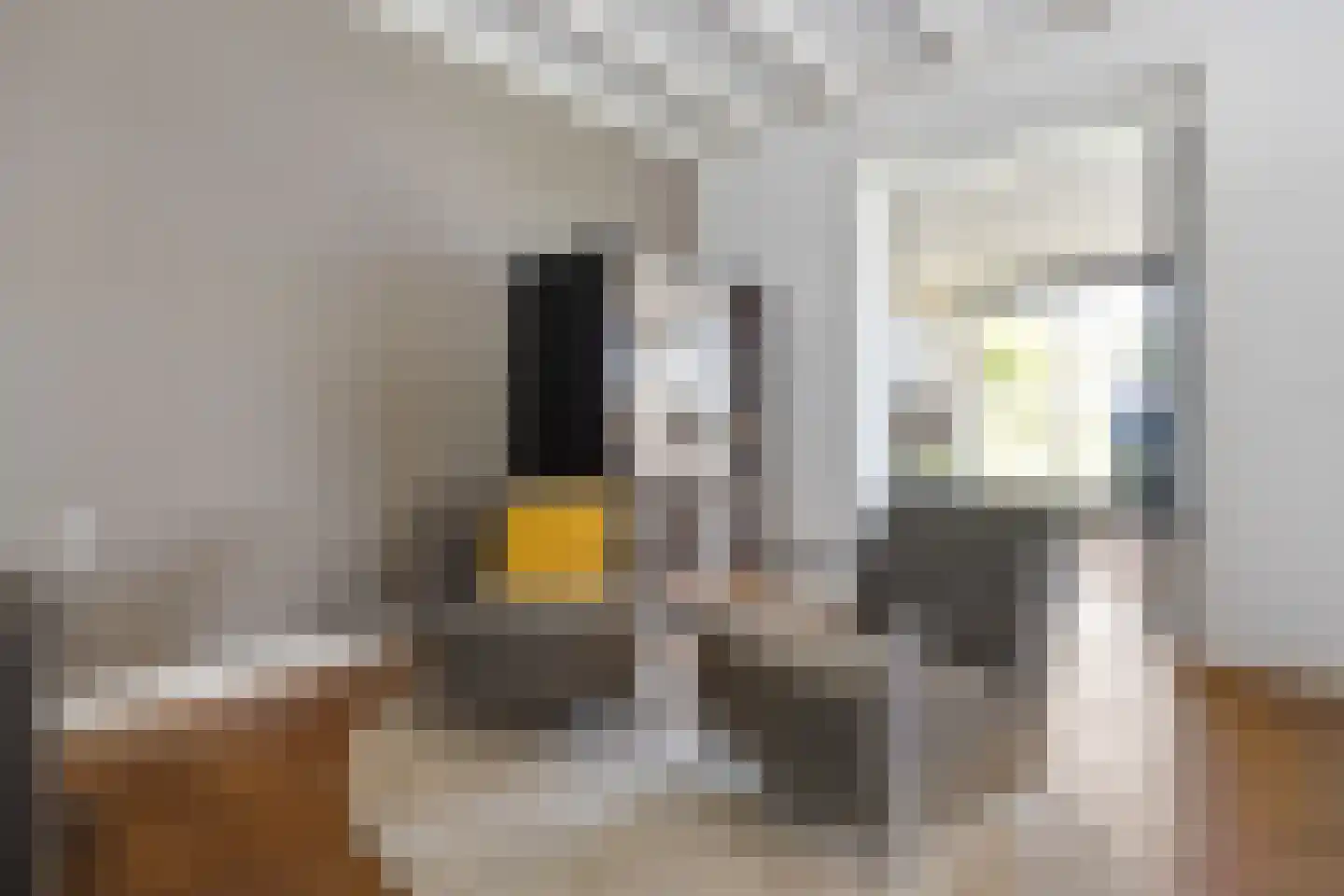 Leutsestraat 26 Angeren thumbnail 13