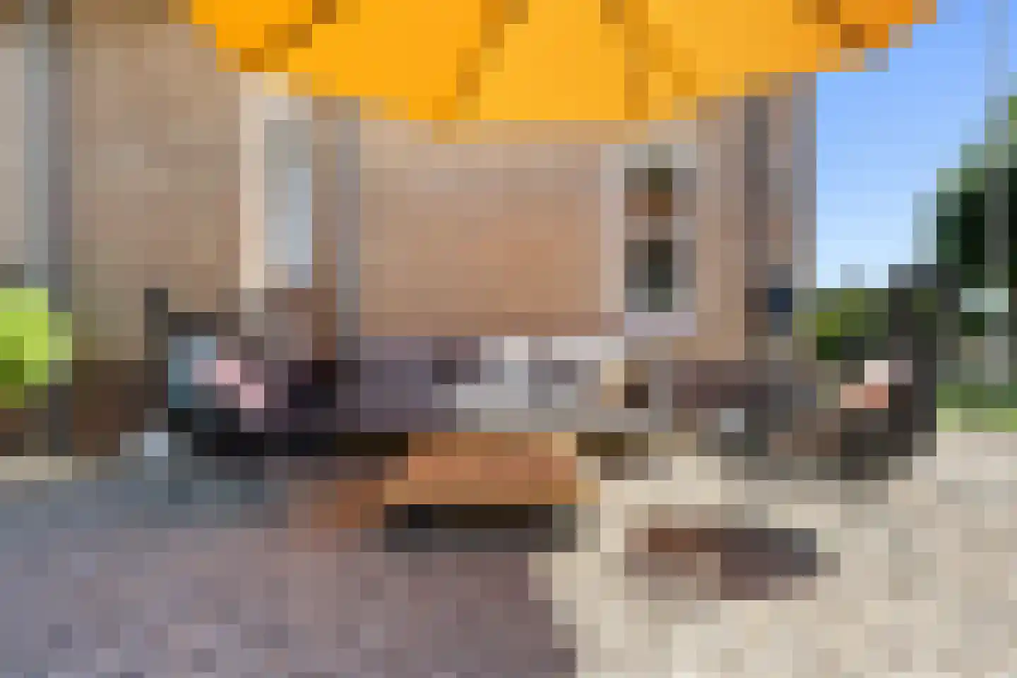 Leutsestraat 26 Angeren thumbnail 21