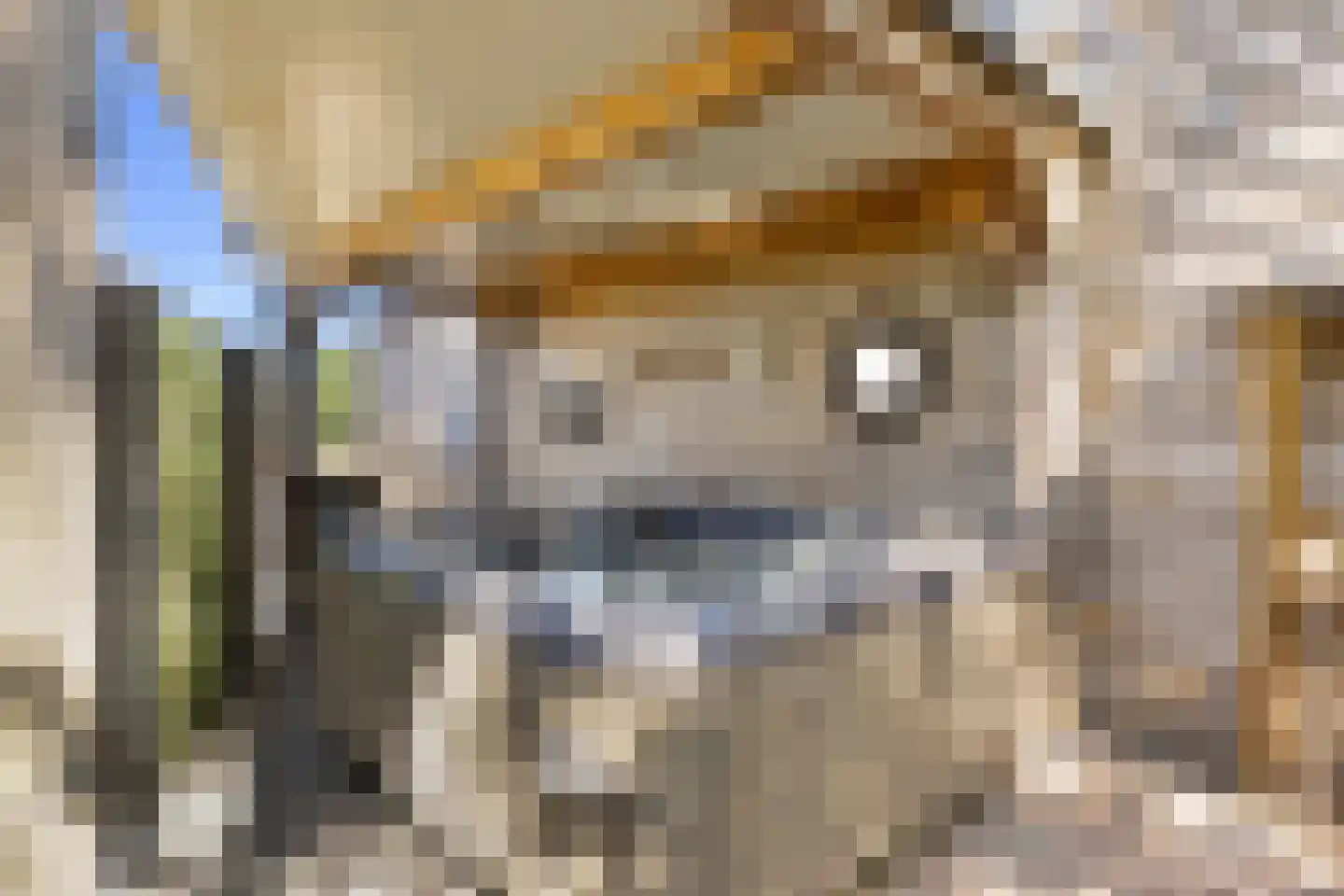 Leutsestraat 26 Angeren thumbnail 26