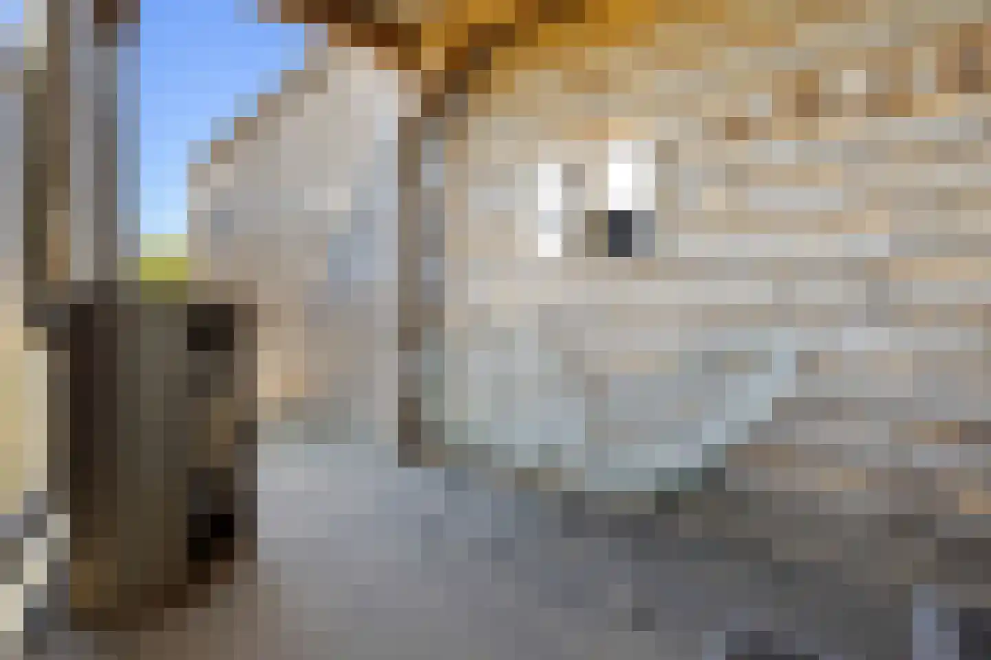 Leutsestraat 26 Angeren thumbnail 27