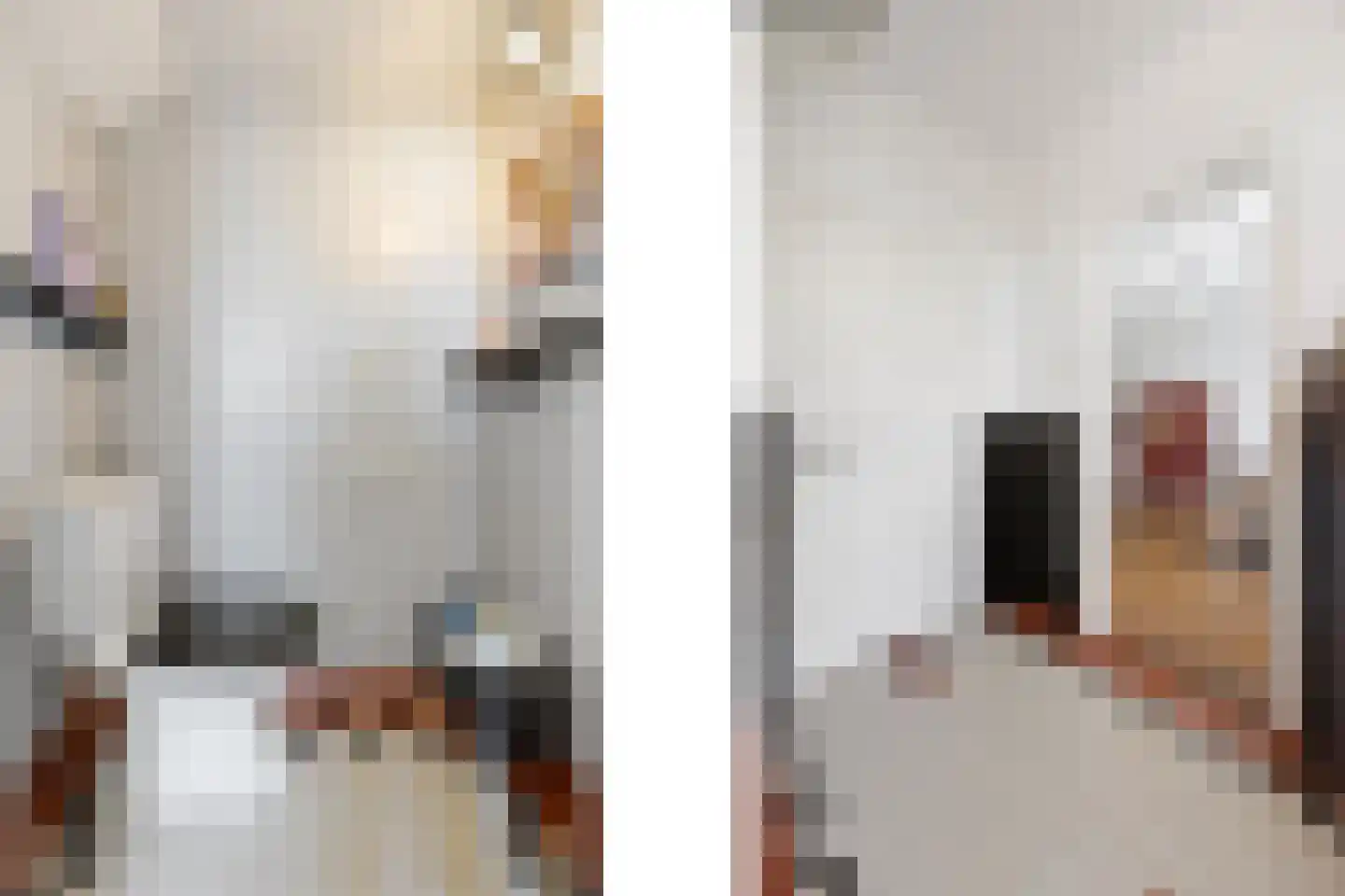 Leutsestraat 26 Angeren thumbnail 30