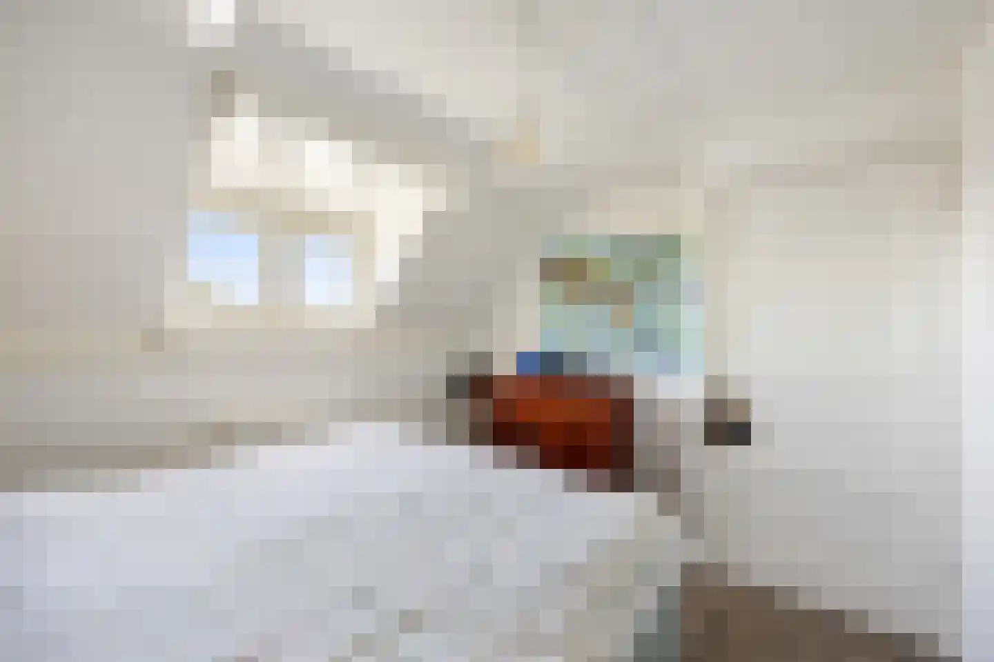 Leutsestraat 26 Angeren thumbnail 35