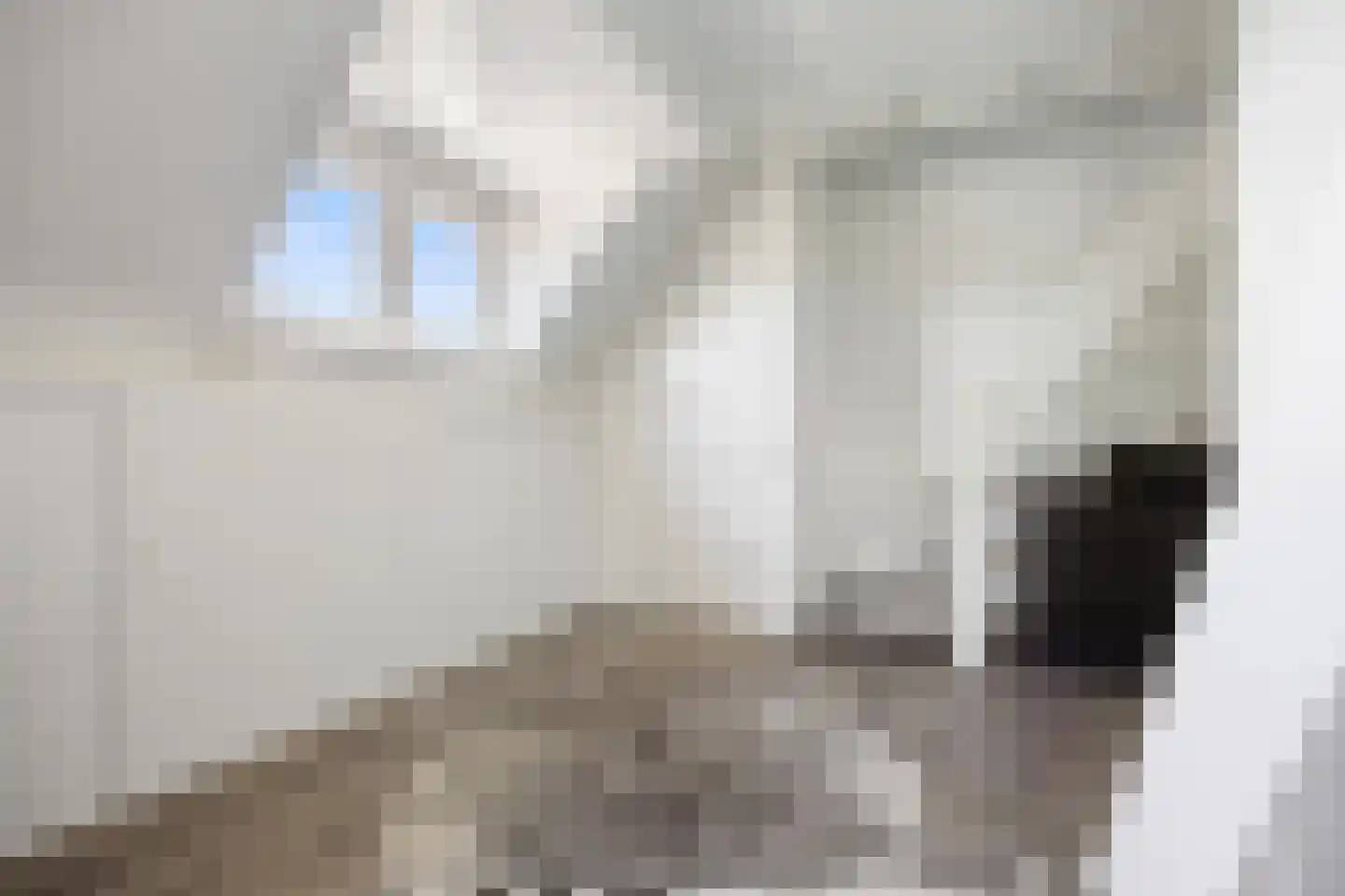 Leutsestraat 26 Angeren thumbnail 36