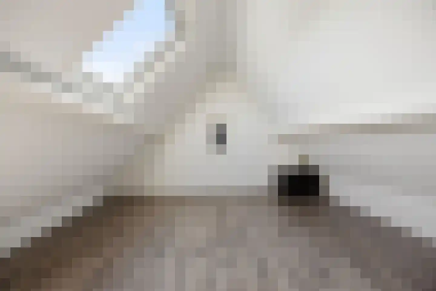 Leutsestraat 26 Angeren thumbnail 38