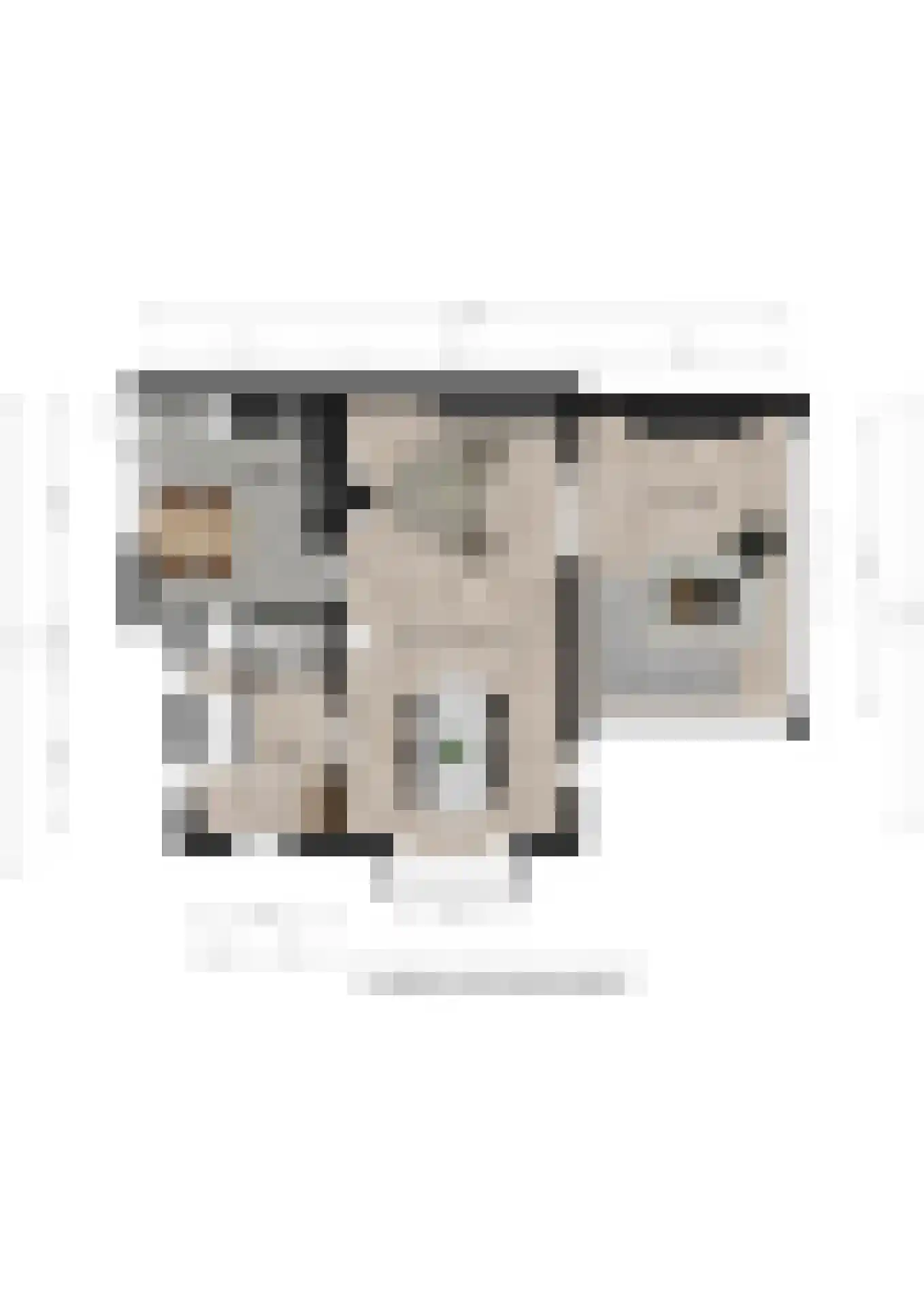 Leutsestraat 26 Angeren thumbnail 46