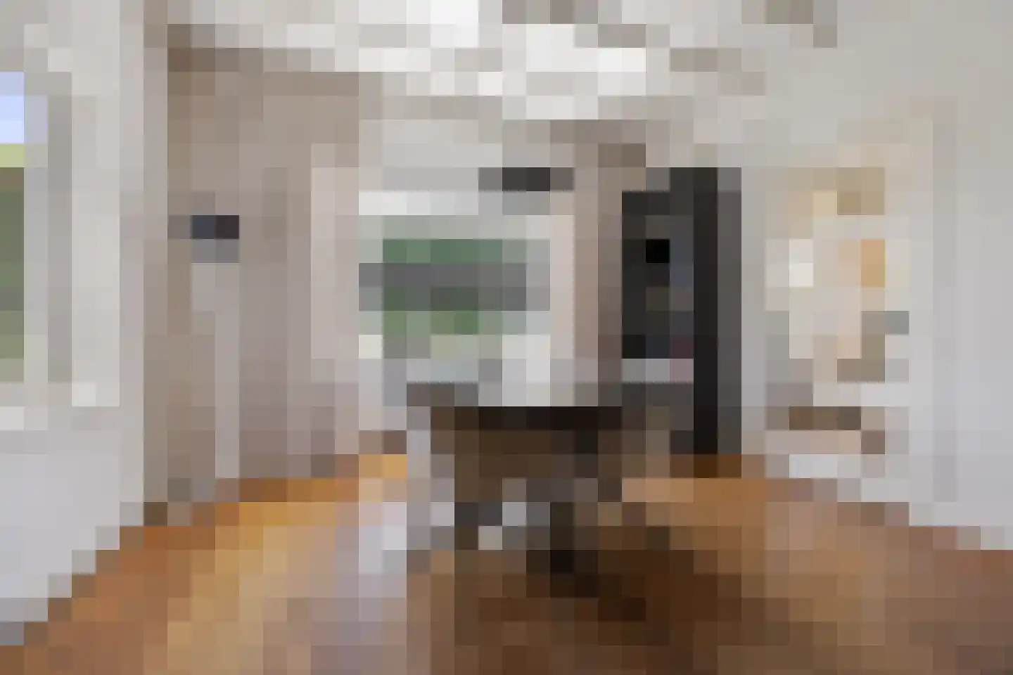 Leutsestraat 26 Angeren thumbnail 7