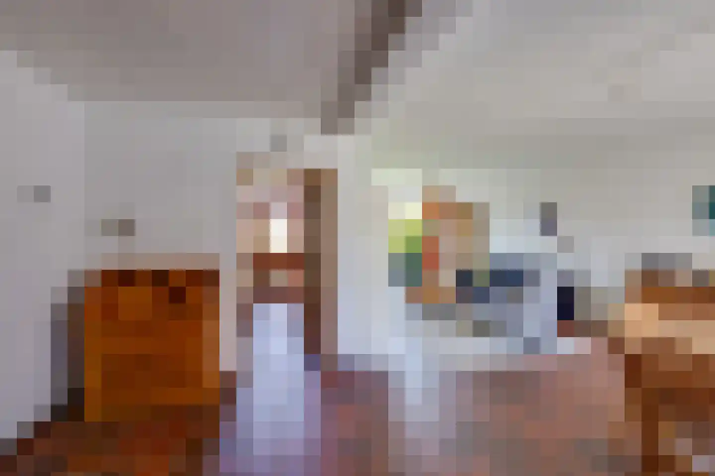 Leuvenhoek 11 Hoeven thumbnail 11