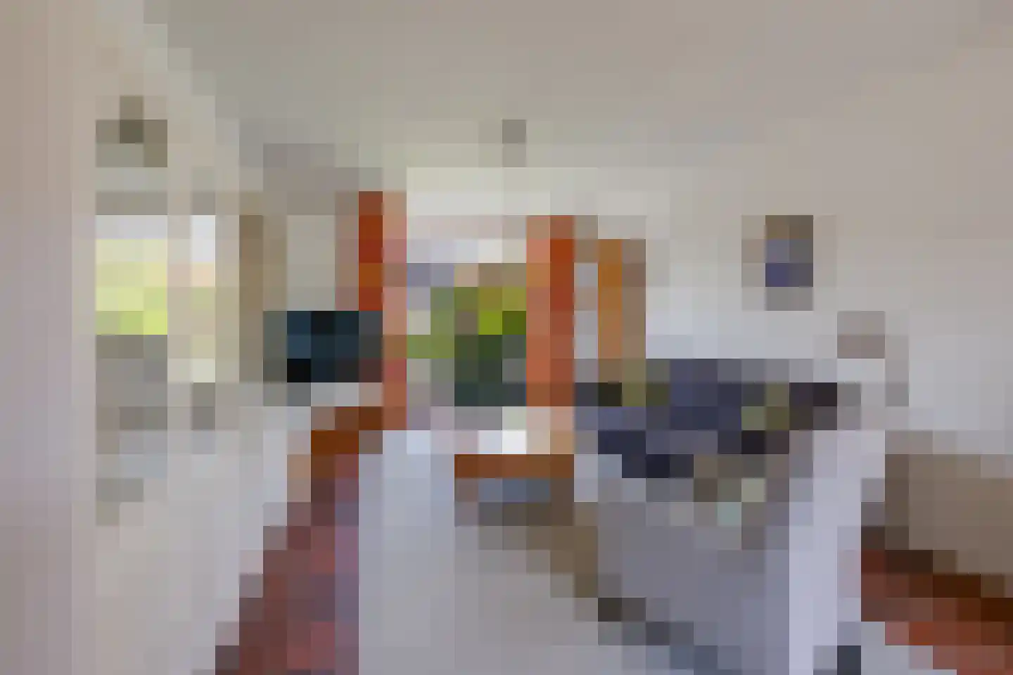 Leuvenhoek 11 Hoeven thumbnail 12