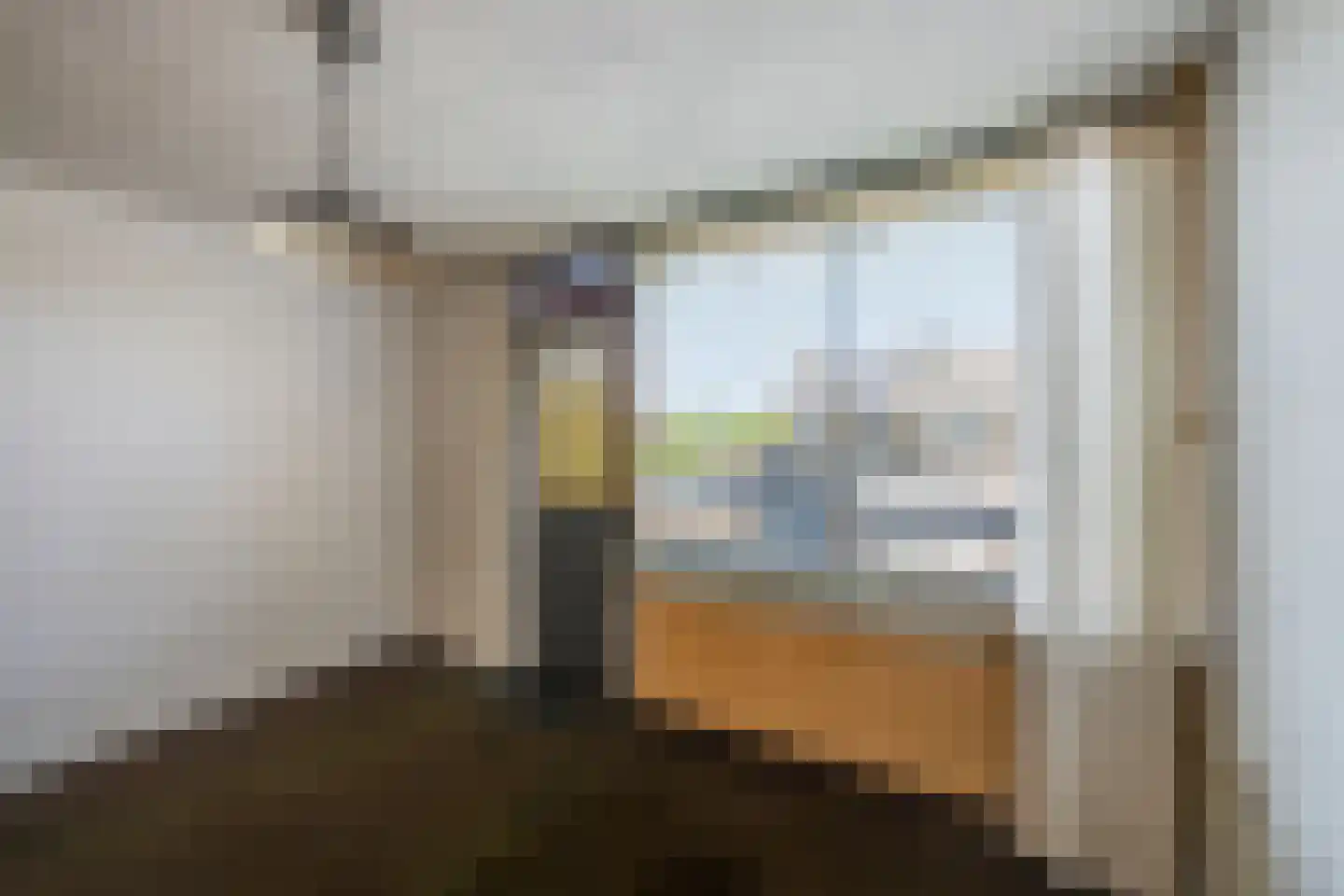 Leuvenhoek 11 Hoeven thumbnail 20