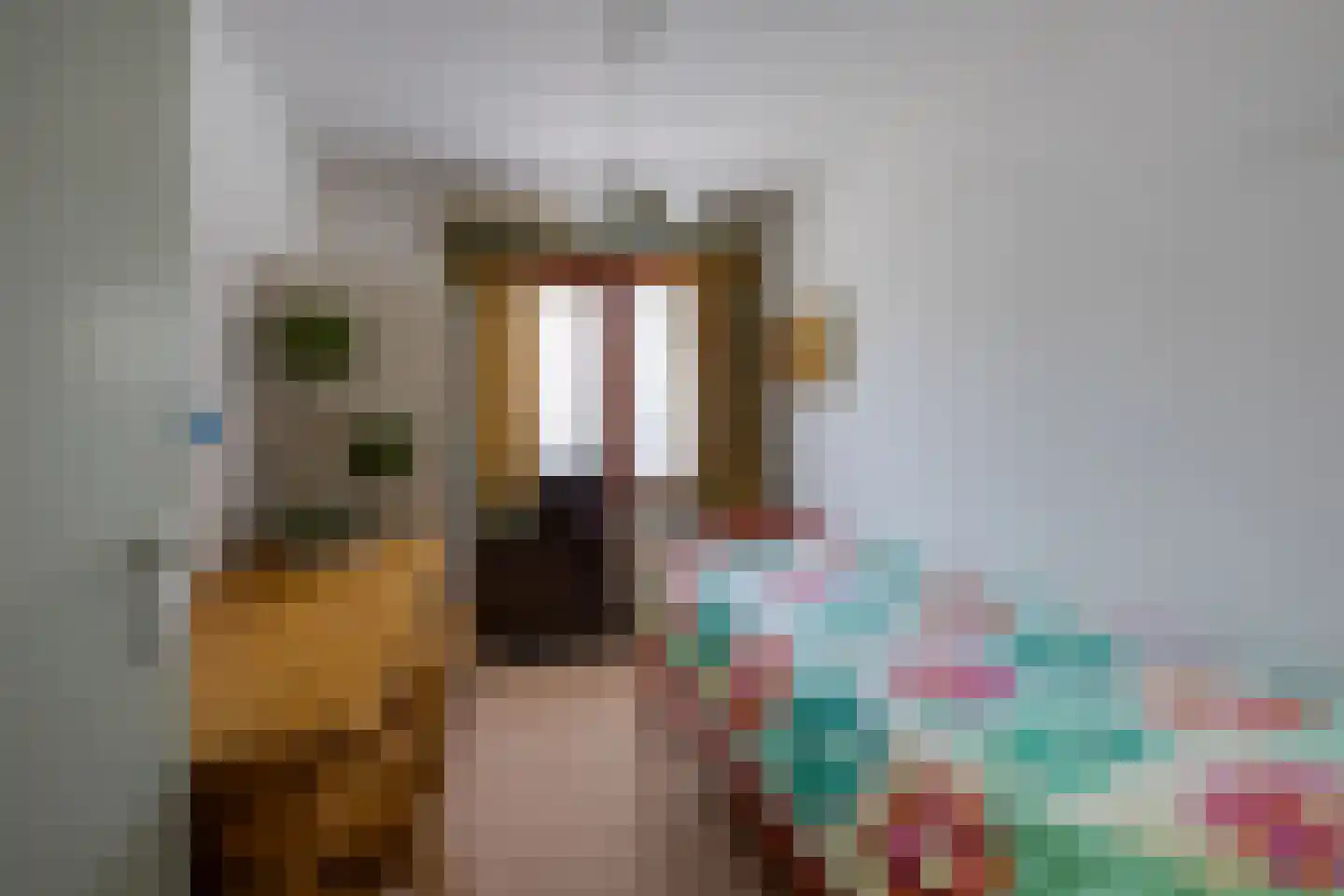 Leuvenhoek 11 Hoeven thumbnail 21