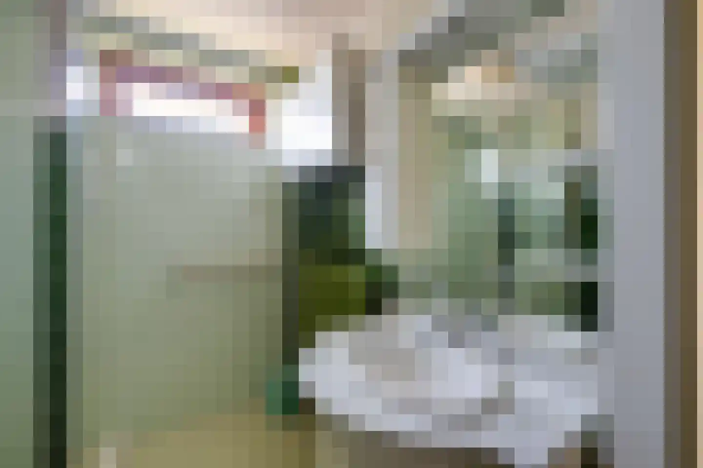 Leuvenhoek 11 Hoeven thumbnail 26