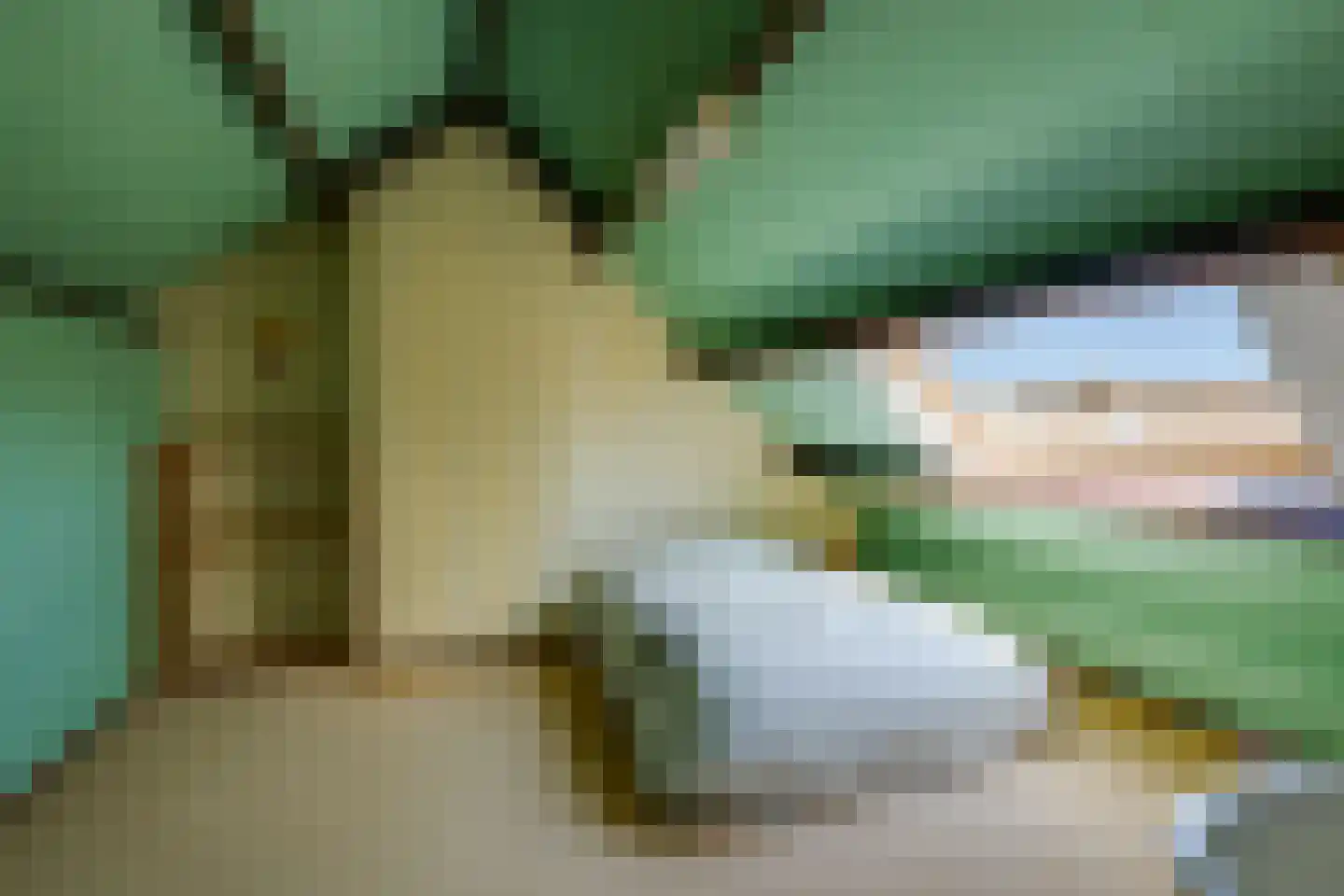 Leuvenhoek 11 Hoeven thumbnail 27