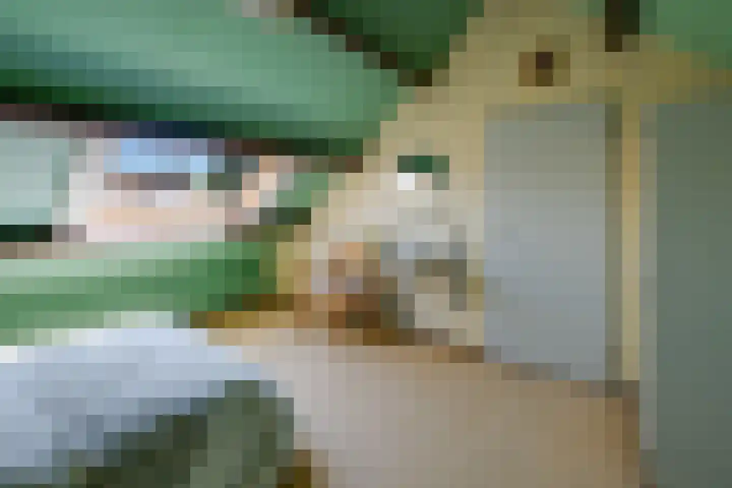 Leuvenhoek 11 Hoeven thumbnail 28