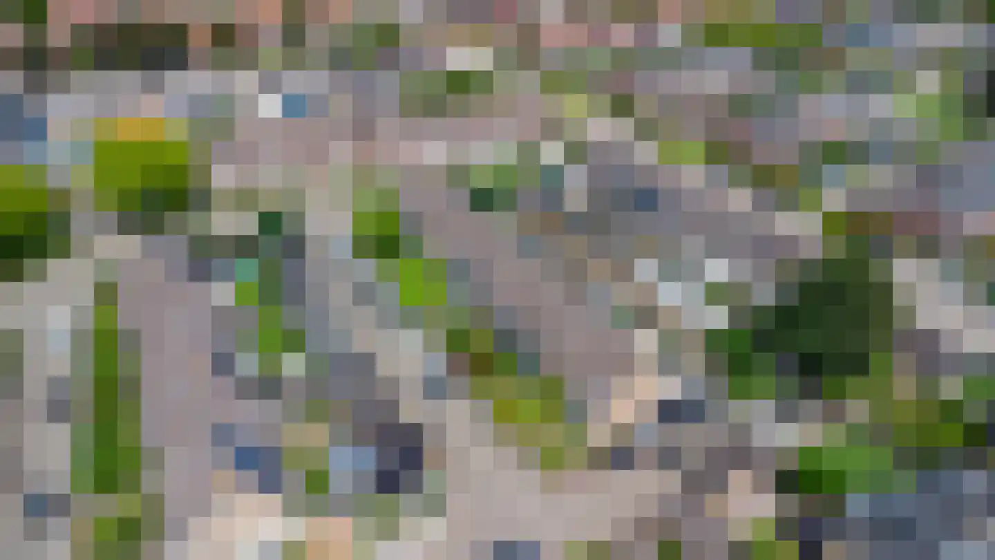 Leuvenhoek 11 Hoeven thumbnail 36