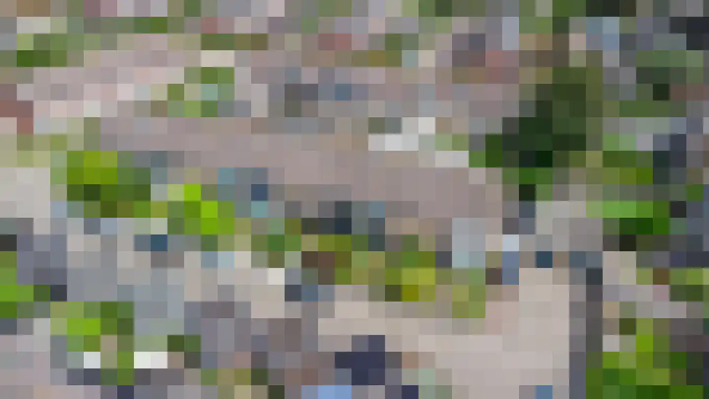 Leuvenhoek 11 Hoeven thumbnail 38