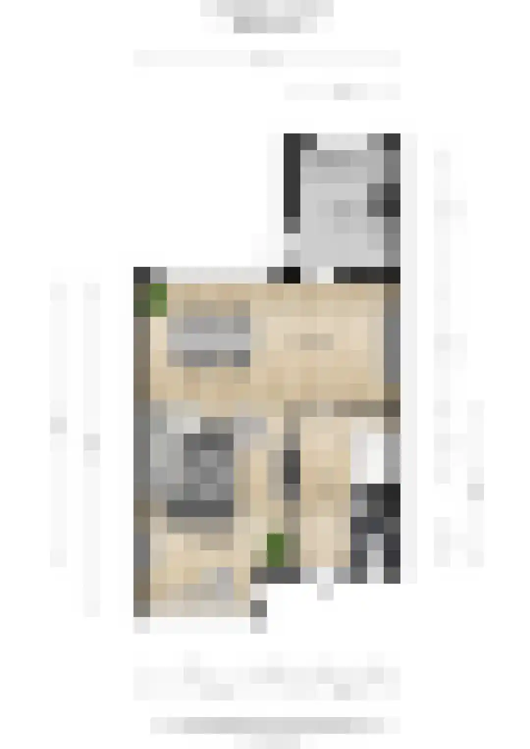 Leuvenhoek 11 Hoeven thumbnail 39