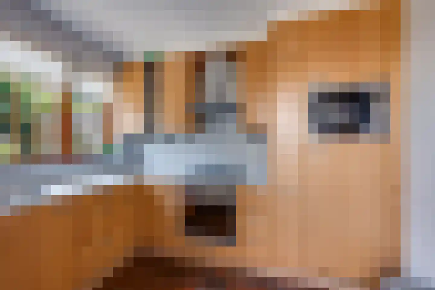 Leuvenhoek 11 Hoeven thumbnail 4