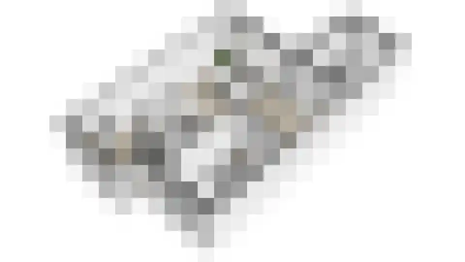 Leuvenhoek 11 Hoeven thumbnail 41