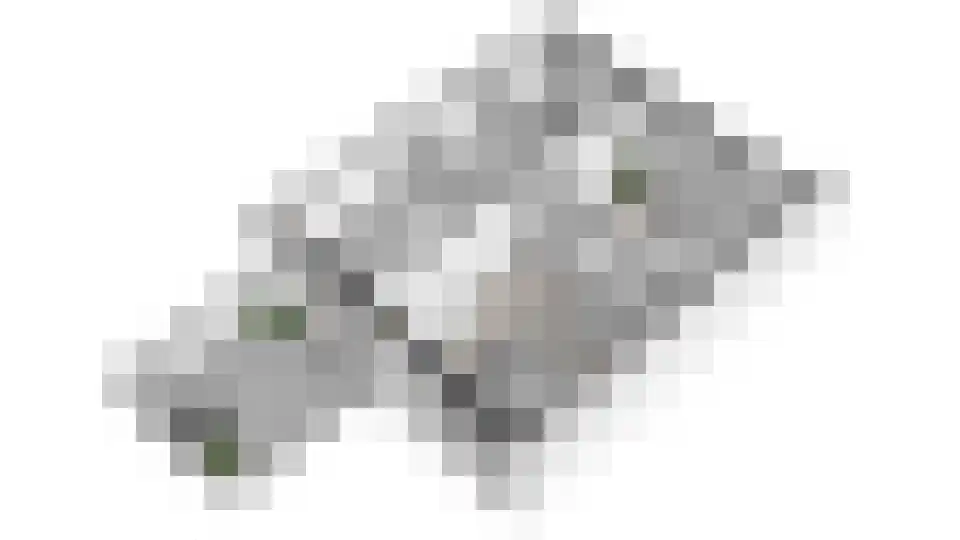 Leuvenhoek 11 Hoeven thumbnail 43