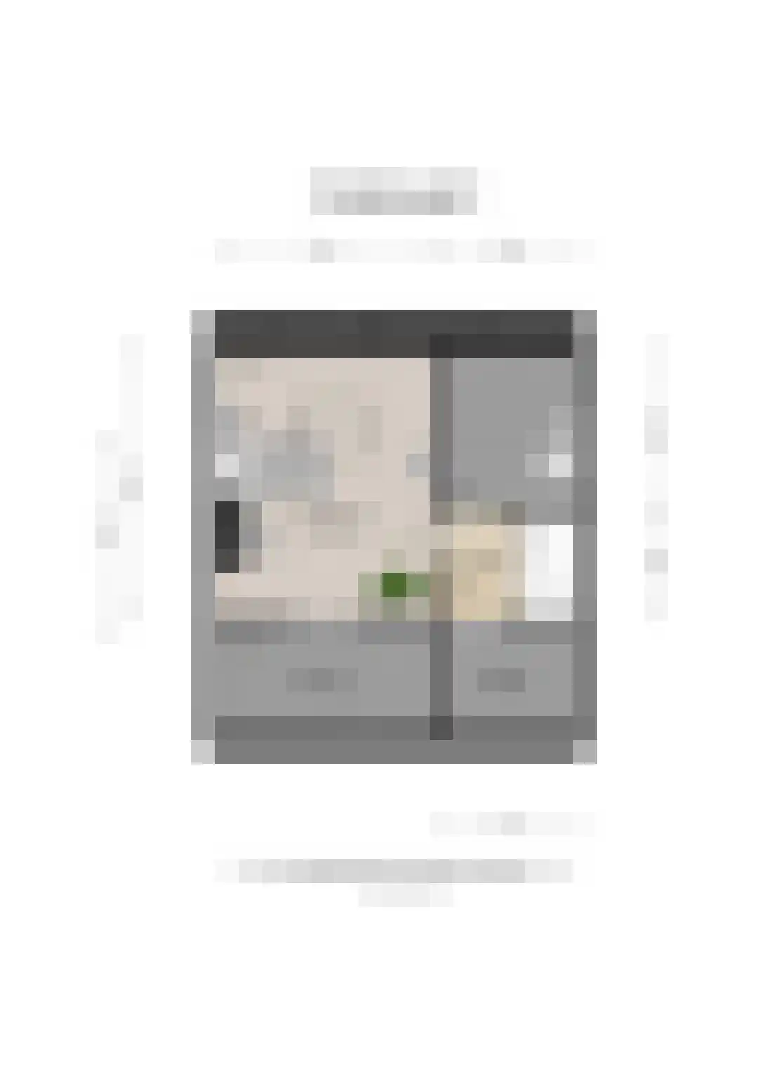 Leuvenhoek 11 Hoeven thumbnail 45