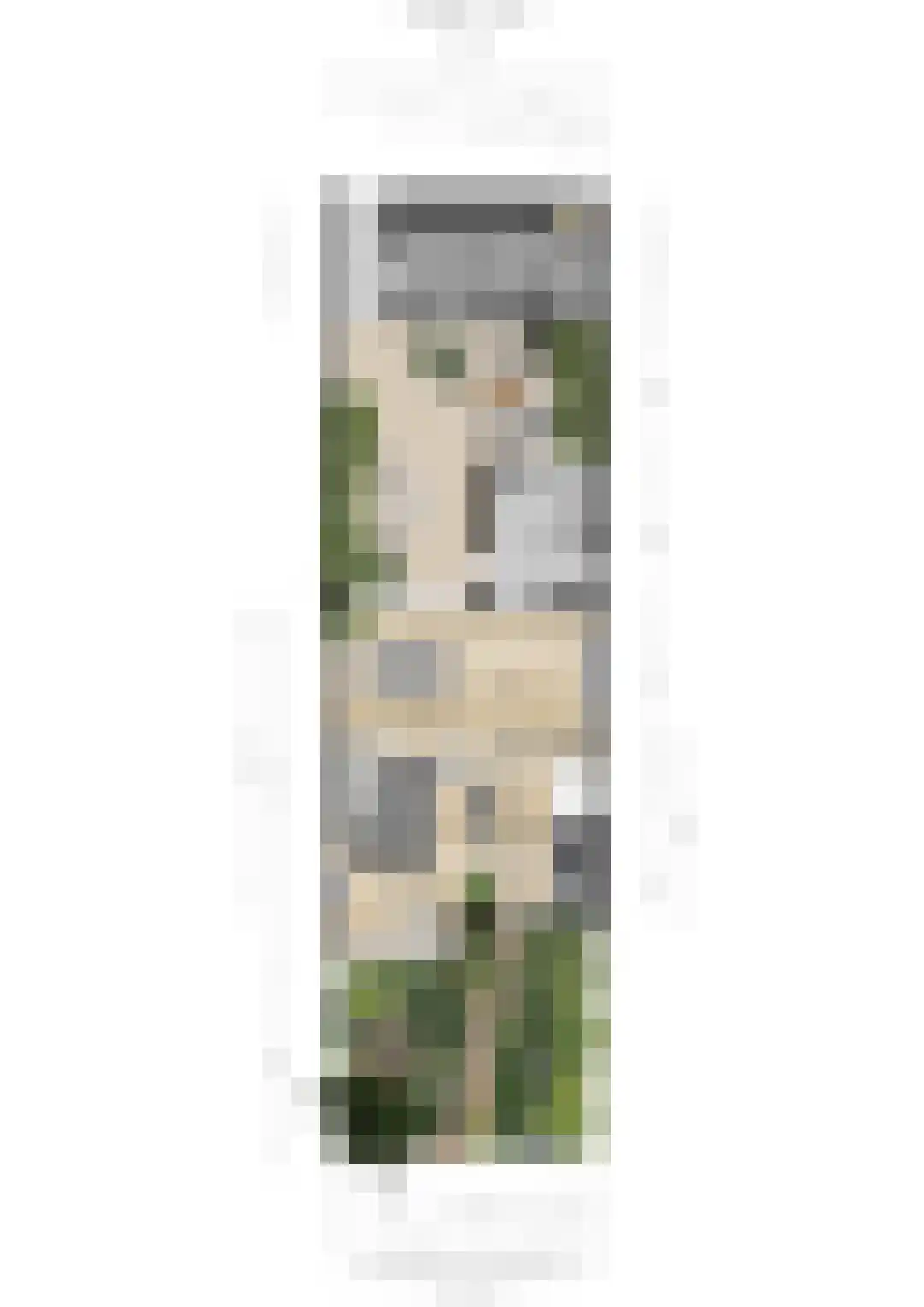 Leuvenhoek 11 Hoeven thumbnail 51
