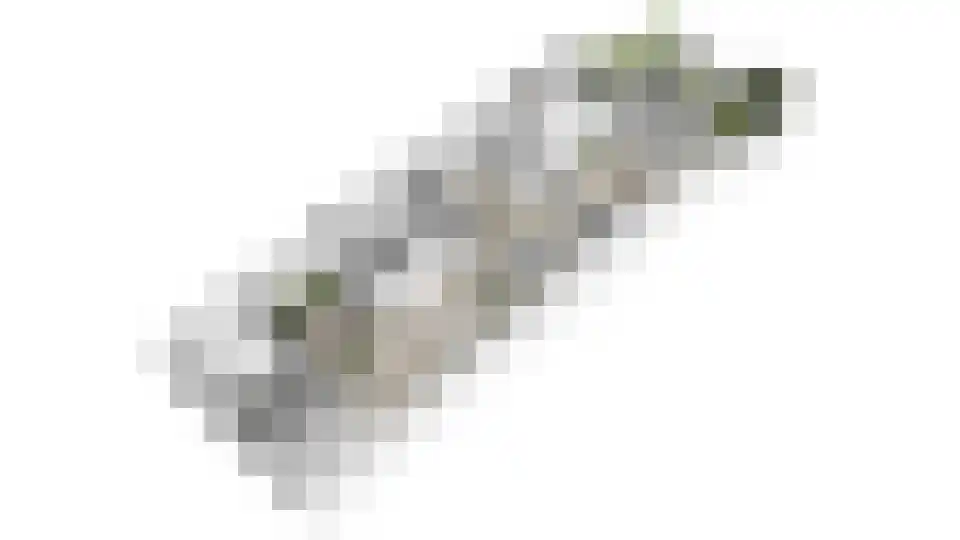 Leuvenhoek 11 Hoeven thumbnail 52