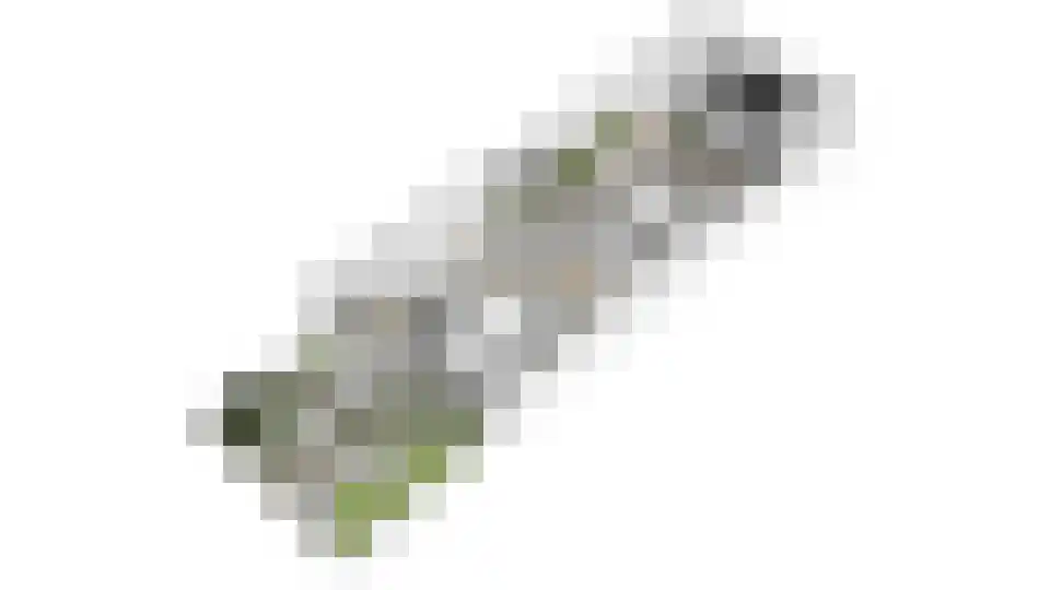 Leuvenhoek 11 Hoeven thumbnail 53