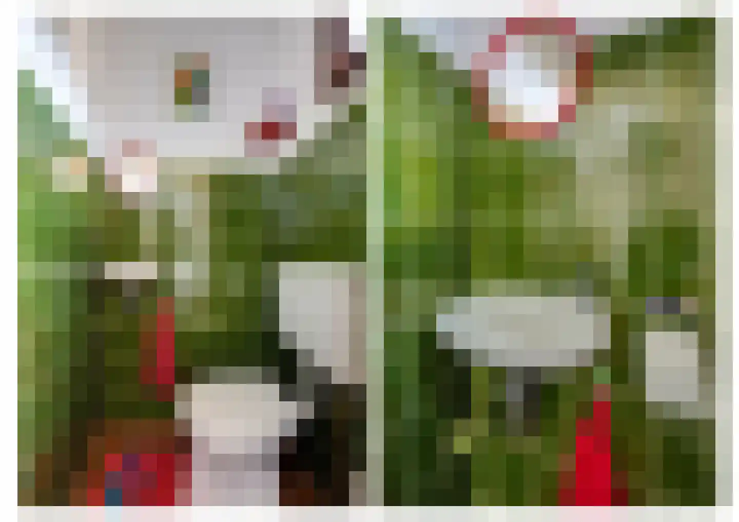 Leuvenhoek 11 Hoeven thumbnail 9