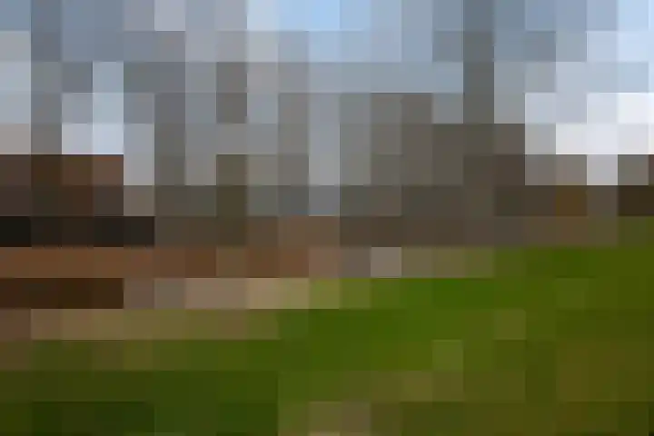 Leuvenhorststraat 31 Almere thumbnail 36