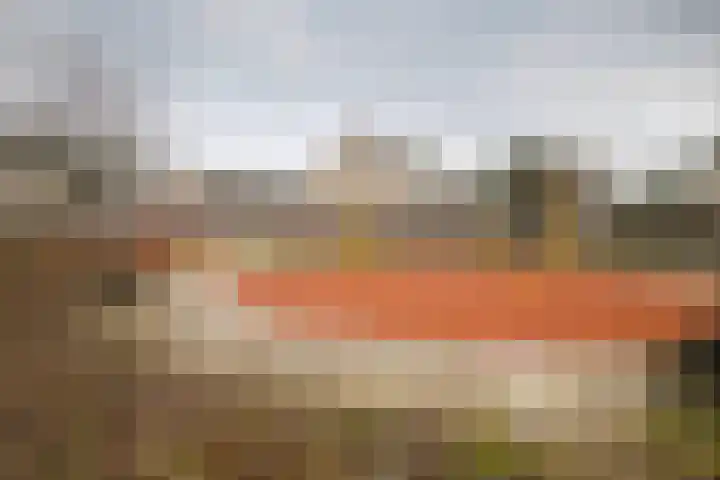 Leuvenhorststraat 31 Almere thumbnail 38
