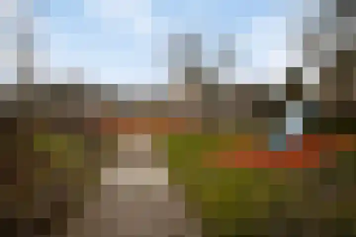 Leuvenhorststraat 31 Almere thumbnail 39