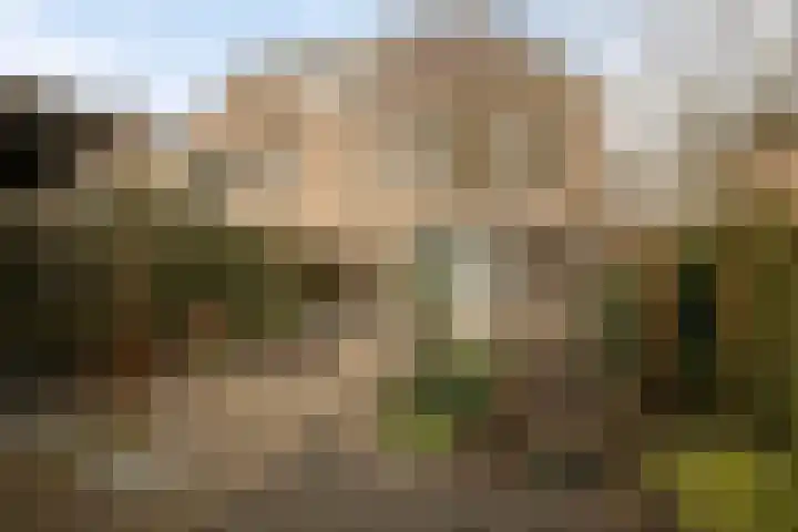 Leuvenhorststraat 31 Almere thumbnail 4