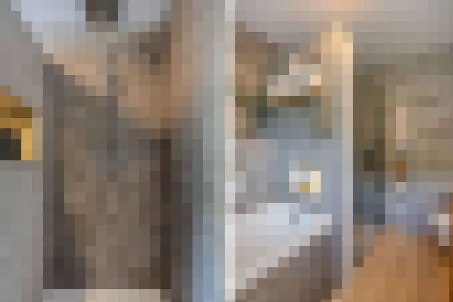 Leuvenhorststraat 33 Almere thumbnail 45