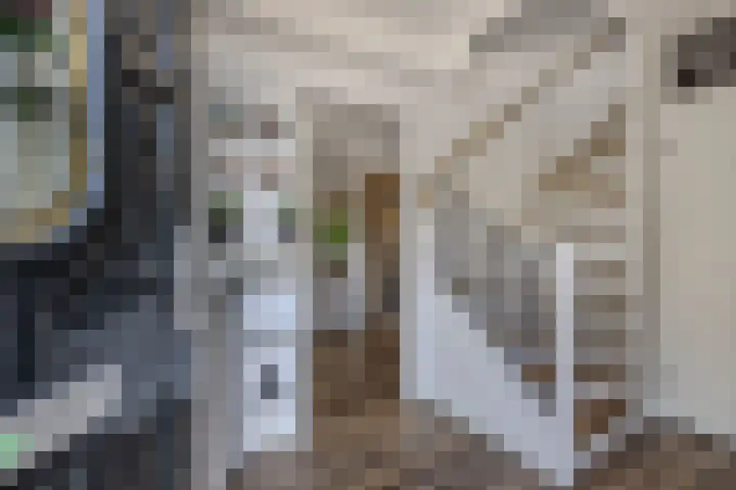 Leuvenhorststraat 33 Almere thumbnail 7