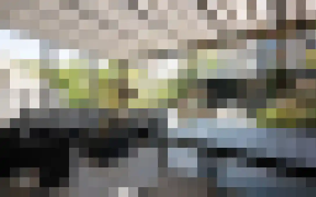 Leuvenhorststraat 55 Almere thumbnail 39