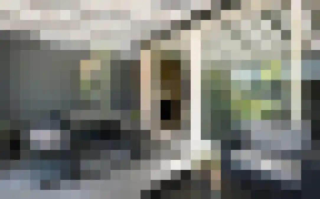 Leuvenhorststraat 55 Almere thumbnail 40