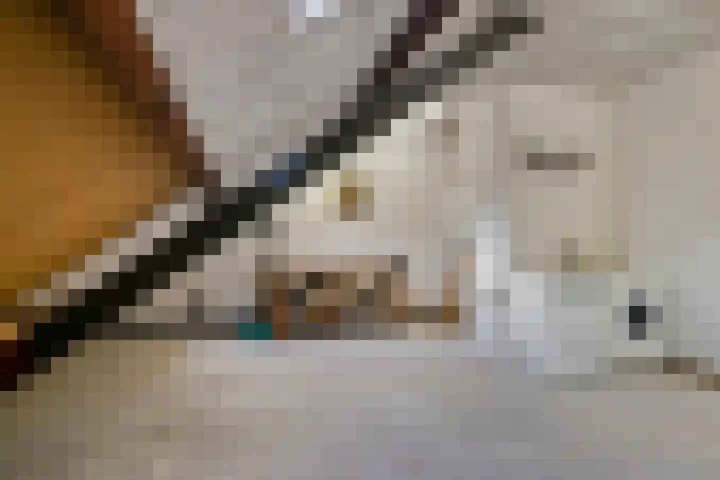 Leuvenlaan 13 Eindhoven thumbnail 28