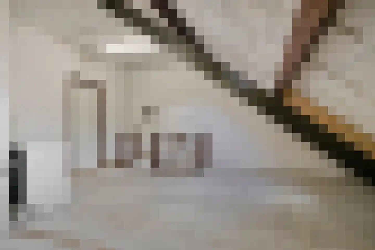 Leuvenlaan 13 Eindhoven thumbnail 29