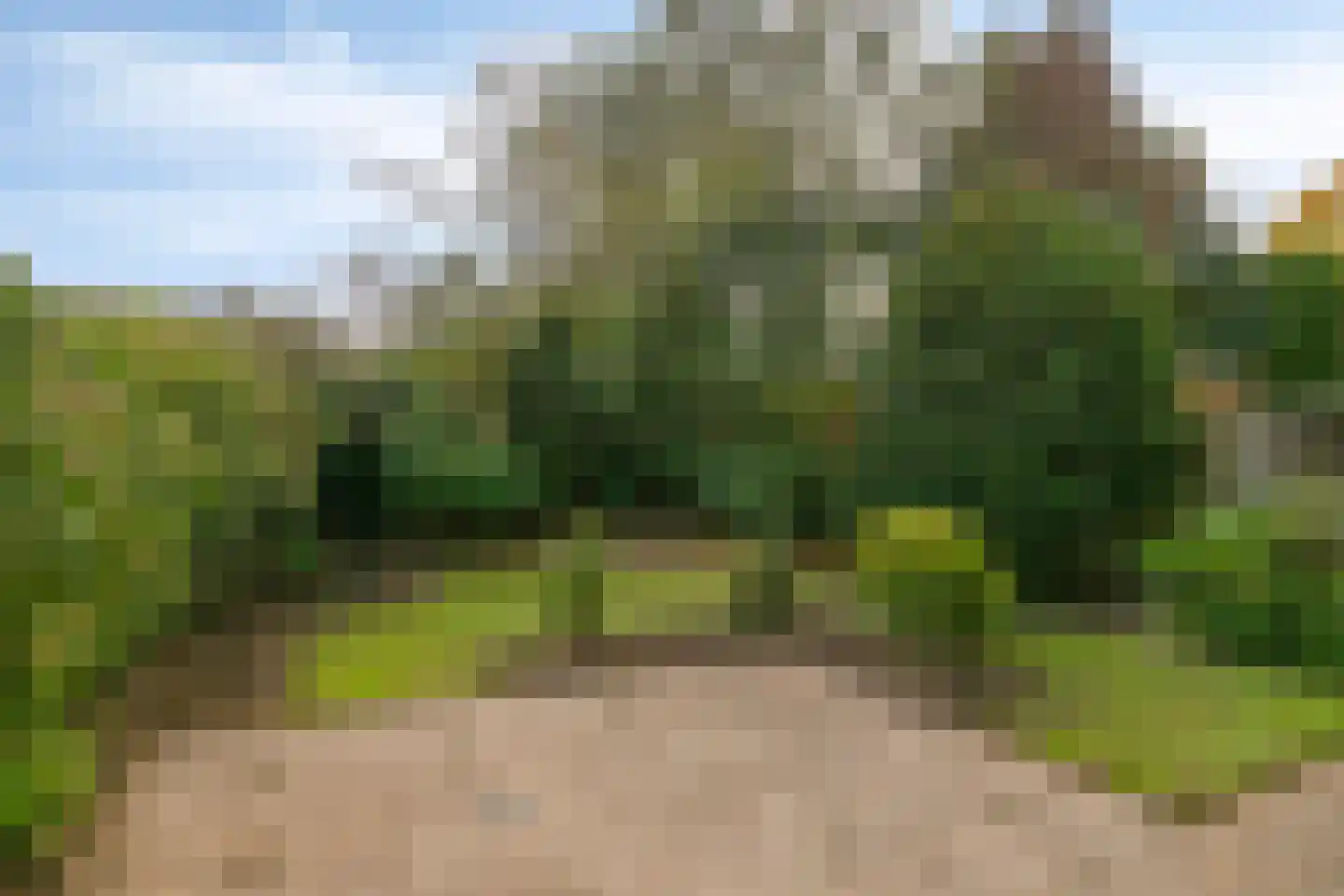 Leuvenlaan 13 Eindhoven thumbnail 7