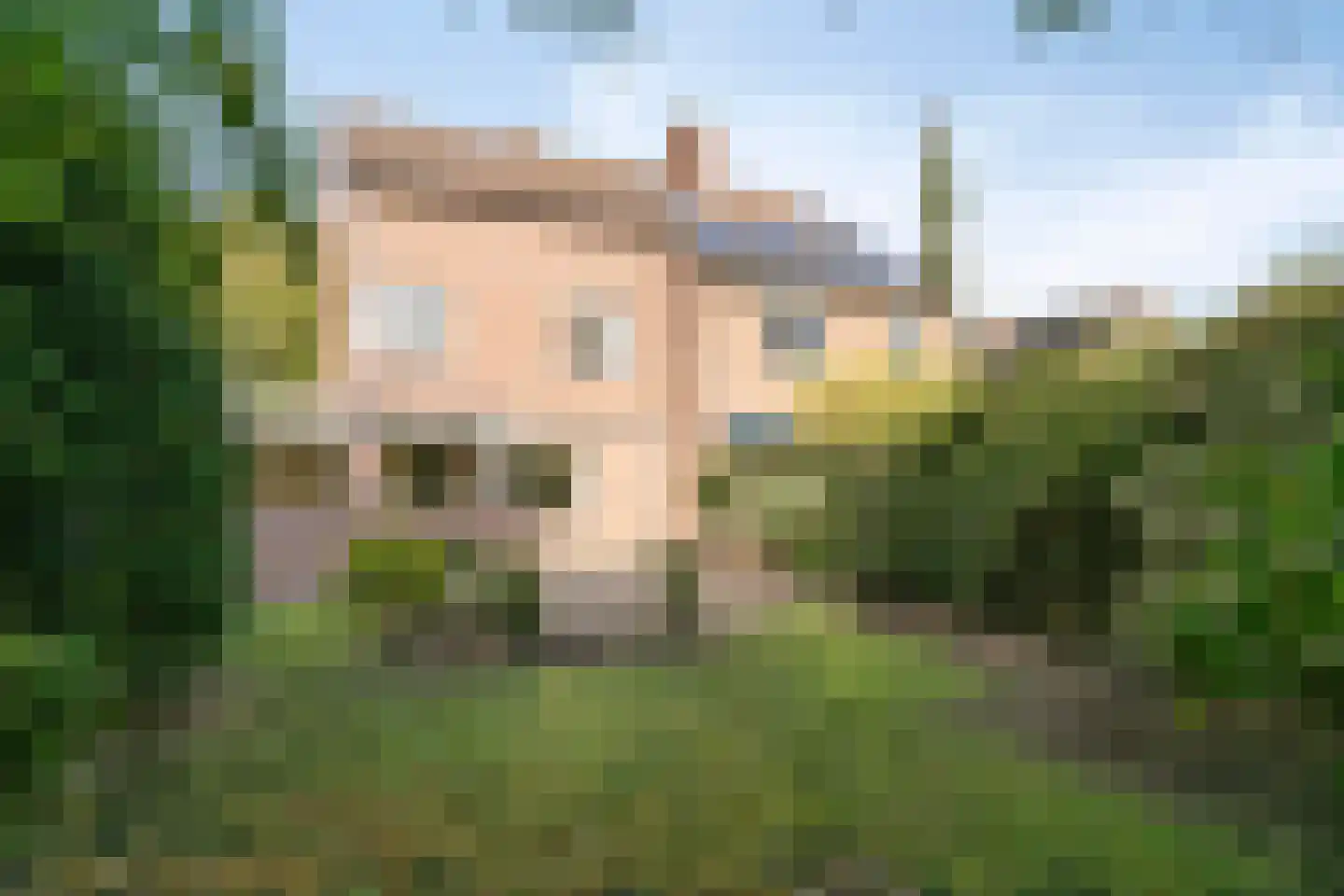 Leuvenlaan 13 Eindhoven thumbnail 8
